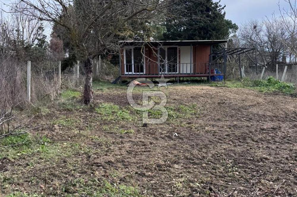 ŞEHRİN YANINDA DOĞANIN İÇİNDE! ÇATALCA SUBAŞI'NDA SATILIK ARAZİ