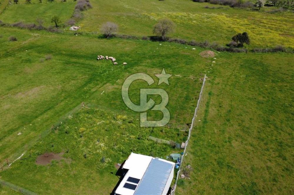 ALİAĞA ÇITAK MAHALLESİNDE 555 M² SATILIK HOBİ BAHÇESİ