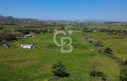 ALİAĞA ÇITAK MAHALLESİNDE 555 M² SATILIK HOBİ BAHÇESİ