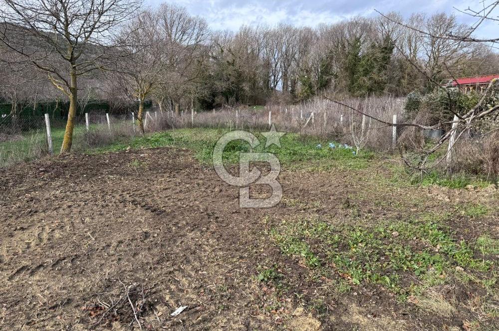 ŞEHRİN YANINDA DOĞANIN İÇİNDE! ÇATALCA SUBAŞI'NDA SATILIK ARAZİ