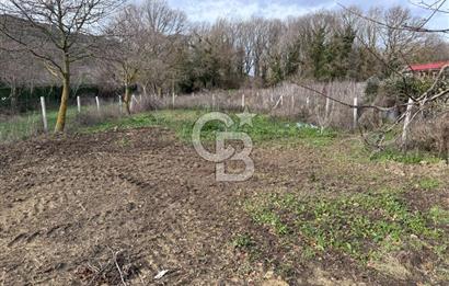 ŞEHRİN YANINDA DOĞANIN İÇİNDE! ÇATALCA SUBAŞI'NDA SATILIK ARAZİ