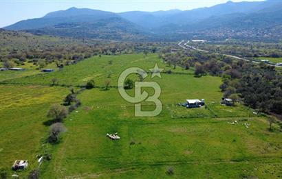 ALİAĞA ÇITAK MAHALLESİNDE 555 M² SATILIK HOBİ BAHÇESİ