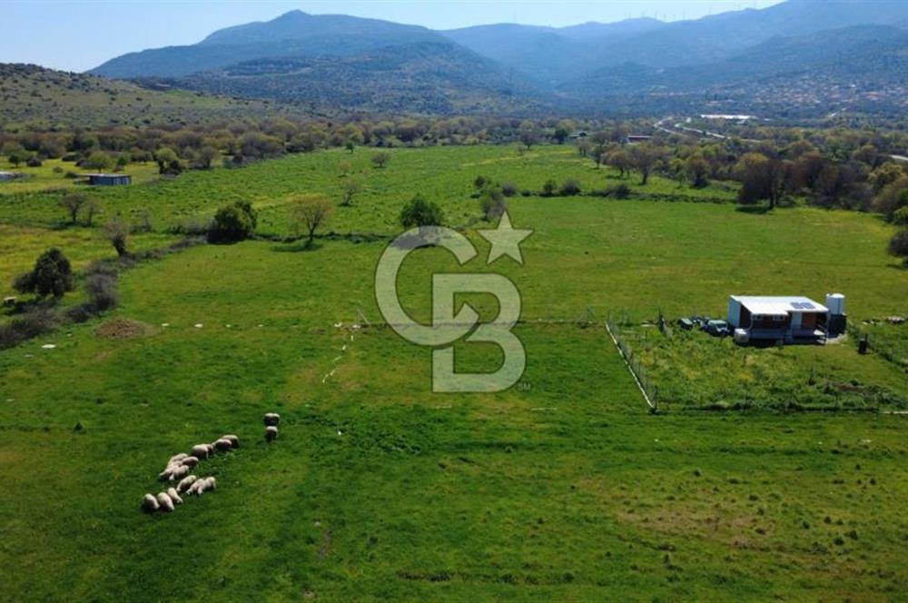 ALİAĞA ÇITAK MAHALLESİNDE 555 M² SATILIK HOBİ BAHÇESİ