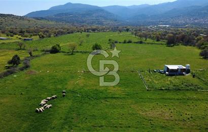 ALİAĞA ÇITAK MAHALLESİNDE 555 M² SATILIK HOBİ BAHÇESİ