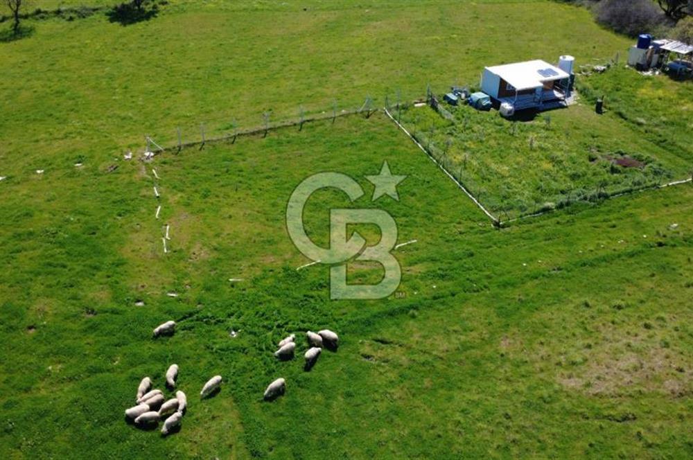 ALİAĞA ÇITAK MAHALLESİNDE 555 M² SATILIK HOBİ BAHÇESİ