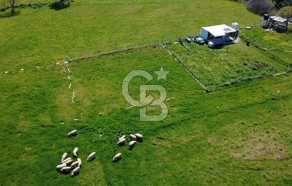 ALİAĞA ÇITAK MAHALLESİNDE 555 M² SATILIK HOBİ BAHÇESİ