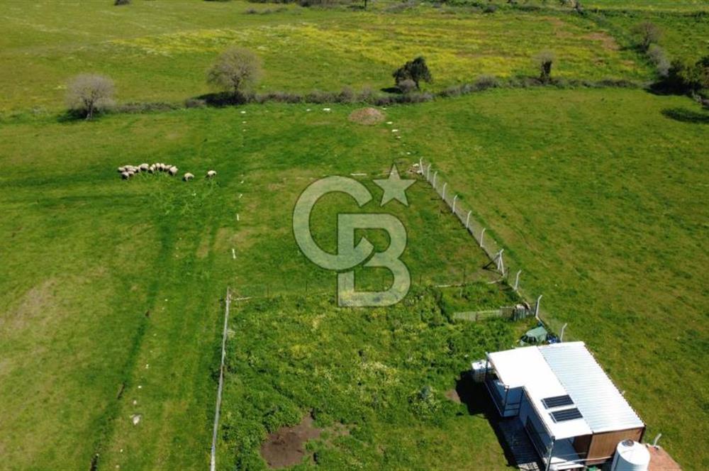 ALİAĞA ÇITAK MAHALLESİNDE 555 M² SATILIK HOBİ BAHÇESİ