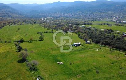 ALİAĞA ÇITAK MAHALLESİNDE 555 M² SATILIK HOBİ BAHÇESİ