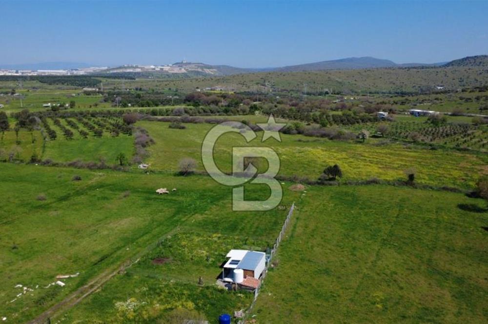 ALİAĞA ÇITAK MAHALLESİNDE 555 M² SATILIK HOBİ BAHÇESİ