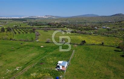 ALİAĞA ÇITAK MAHALLESİNDE 555 M² SATILIK HOBİ BAHÇESİ