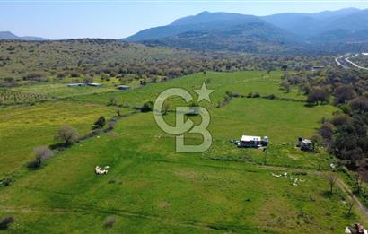 ALİAĞA ÇITAK MAHALLESİNDE 555 M² SATILIK HOBİ BAHÇESİ