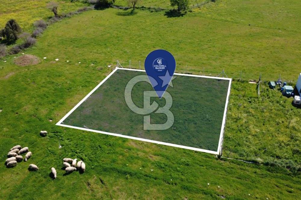 ALİAĞA ÇITAK MAHALLESİNDE 555 M² SATILIK HOBİ BAHÇESİ