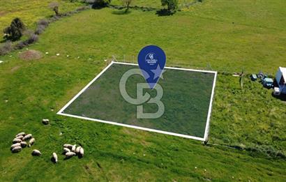 ALİAĞA ÇITAK MAHALLESİNDE 555 M² SATILIK HOBİ BAHÇESİ