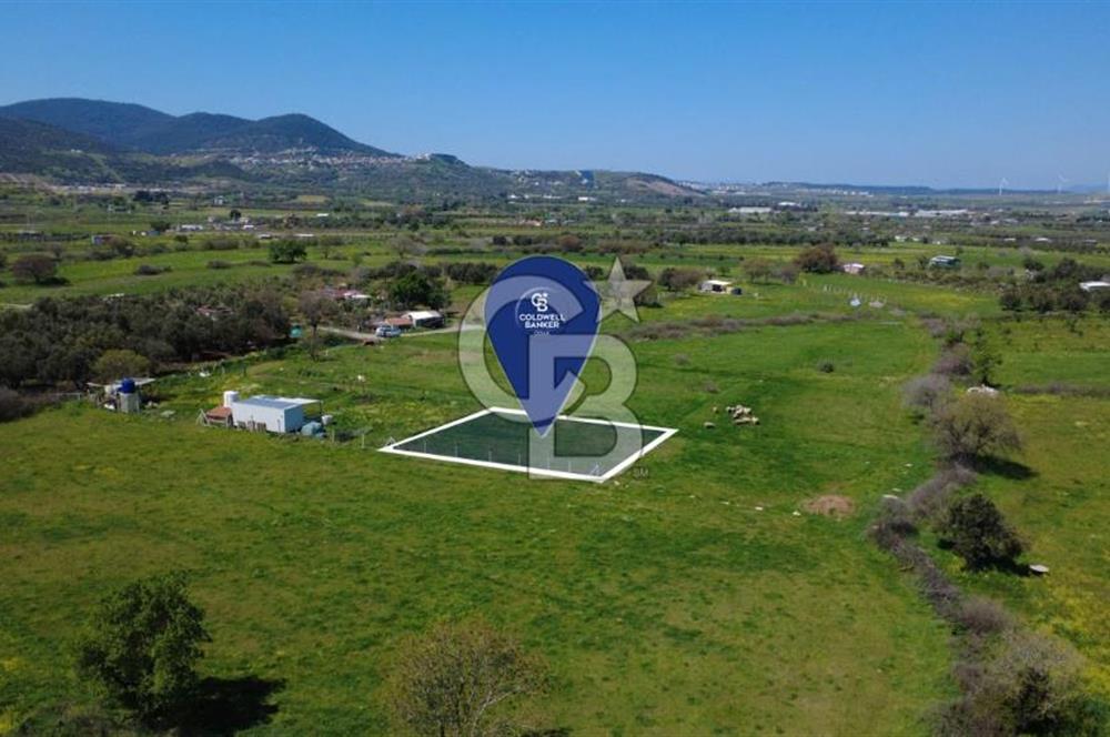 ALİAĞA ÇITAK MAHALLESİNDE 555 M² SATILIK HOBİ BAHÇESİ