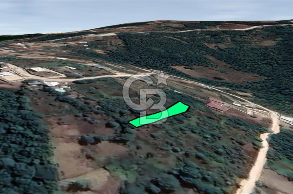 NİLÜFER/GÜNGÖREN 'DE YATIRIMA UYGUN SATILIK ARAZİ