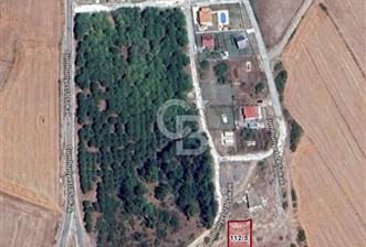 BALIKESİR MANYAS CUMHURİYET KÖYÜ'NDE HAYALİNİZDEKİ YAŞAMI KURUN! - 1 - 333901