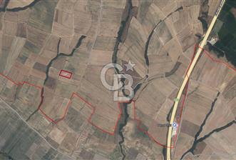 📍 EDİRNE HAVSA BAKIŞLAR KÖYÜ 🌾 5.150 m² TARLA – ACİL SATILIK - 5 - 342898