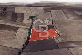 Bandırma Çepnide Yatırım Değerinde 17.500 m² Satılık Tarla - 10 - 333432