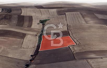 Bandırma Çepnide Yatırım Değerinde 17.500 m² Satılık Tarla
