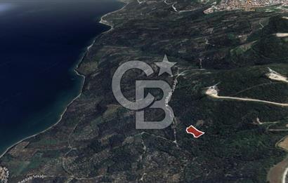 CB LEADER'DAN EDİNCİK'TE DENİZ MANZARALI SATILIK ZEYTİNLİK