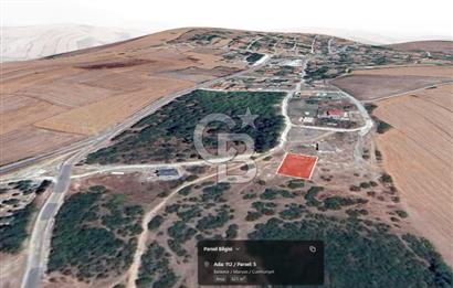 BALIKESİR MANYAS CUMHURİYET KÖYÜ'NDE HAYALİNİZDEKİ YAŞAMI KURUN!