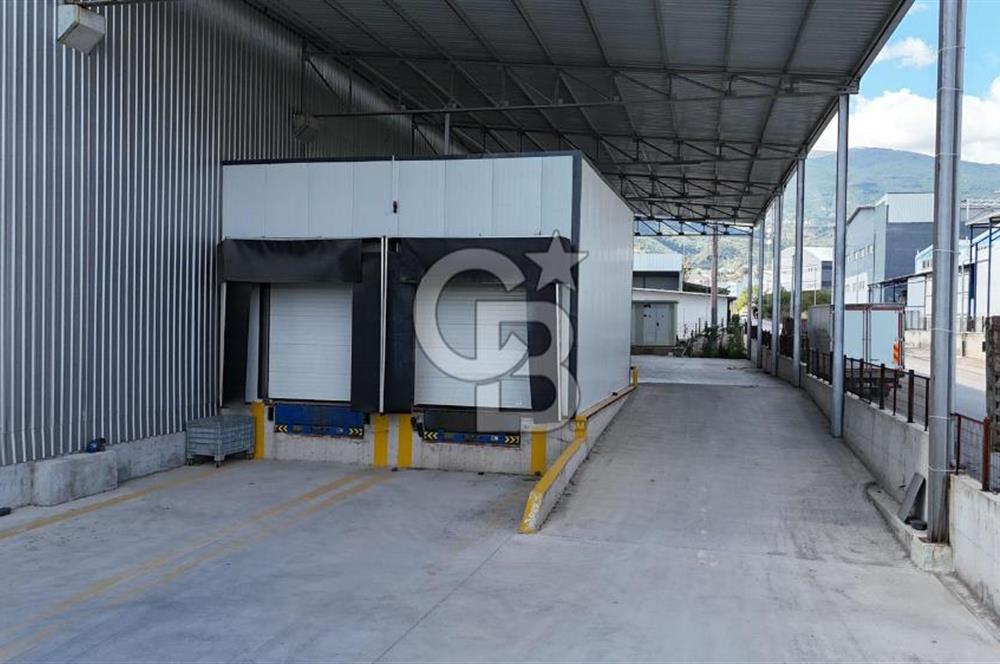 BURSA İNEGÖL YENİCE ORGANİZE SANAYİ DE SATILIK SOĞUK HAVA DEPOSU
