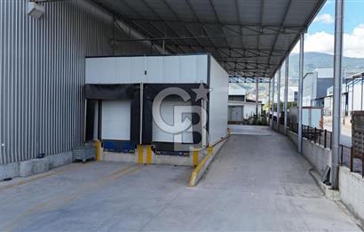 BURSA İNEGÖL YENİCE SANAYİ DE KİRALIK SOĞUK HAVA DEPOSU