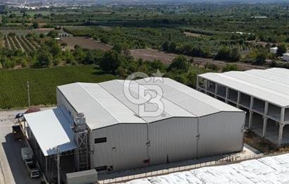 BURSA İNEGÖL YENİCE ORGANİZE SANAYİ DE SATILIK SOĞUK HAVA DEPOSU