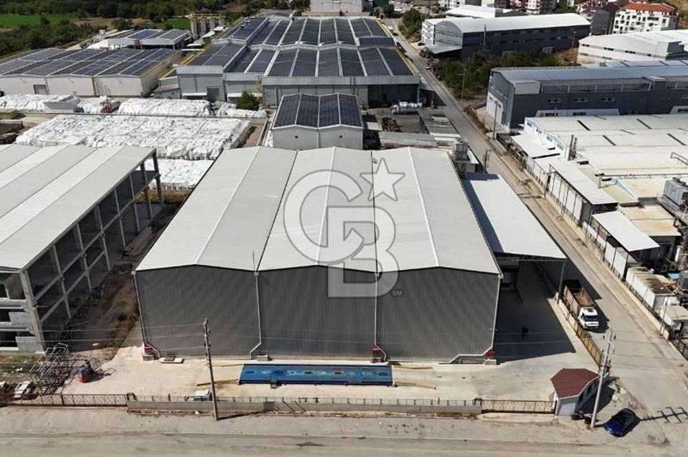 BURSA İNEGÖL YENİCE SANAYİ DE KİRALIK SOĞUK HAVA DEPOSU