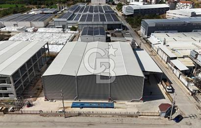 BURSA İNEGÖL YENİCE SANAYİ DE KİRALIK SOĞUK HAVA DEPOSU