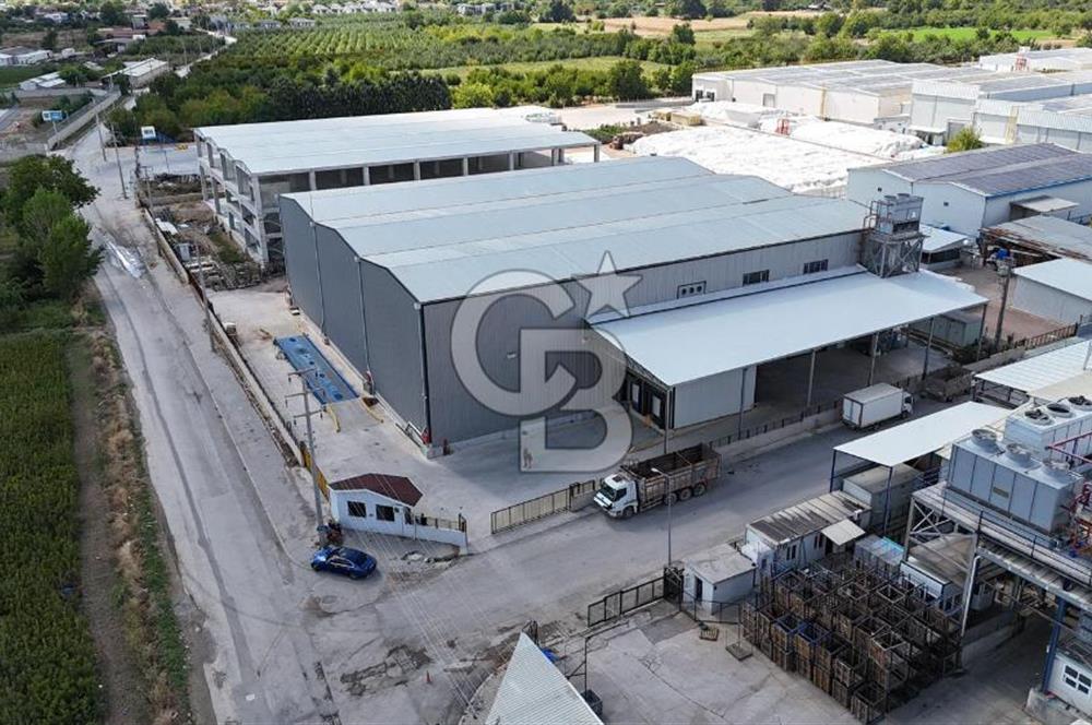 BURSA İNEGÖL YENİCE SANAYİ DE KİRALIK SOĞUK HAVA DEPOSU