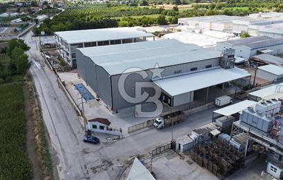 BURSA İNEGÖL YENİCE ORGANİZE SANAYİ DE SATILIK SOĞUK HAVA DEPOSU