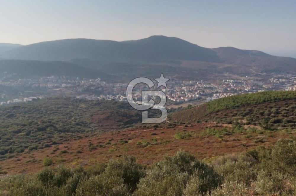 Yenifoça'da Yerleşime Yakın Konumda SatılıkTarla