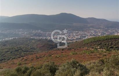 Yenifoça'da Yerleşime Yakın Konumda SatılıkTarla