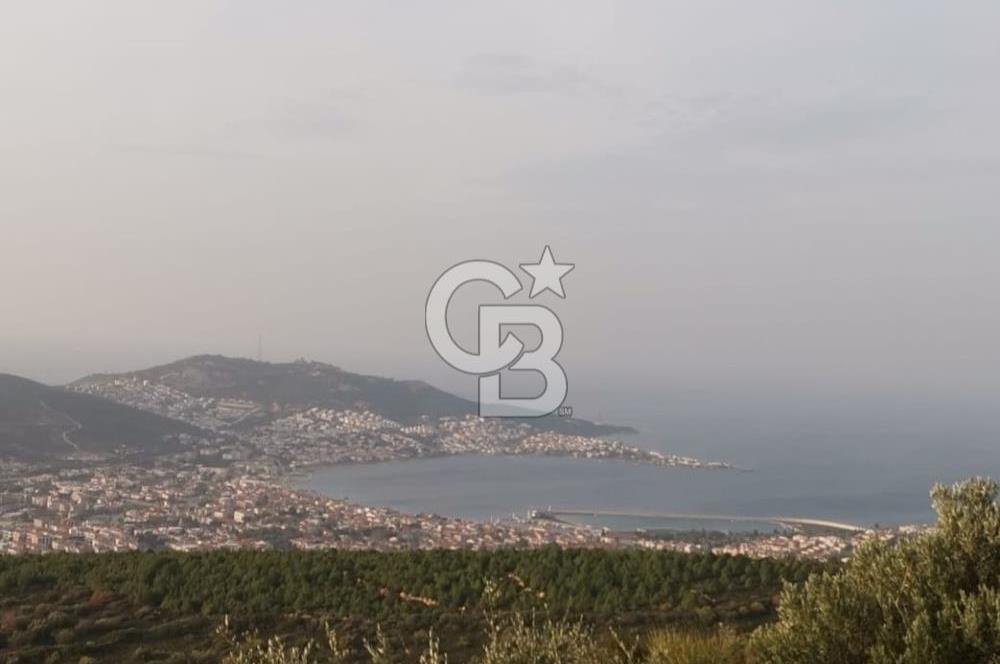 Yenifoça'da Yerleşime Yakın Konumda SatılıkTarla