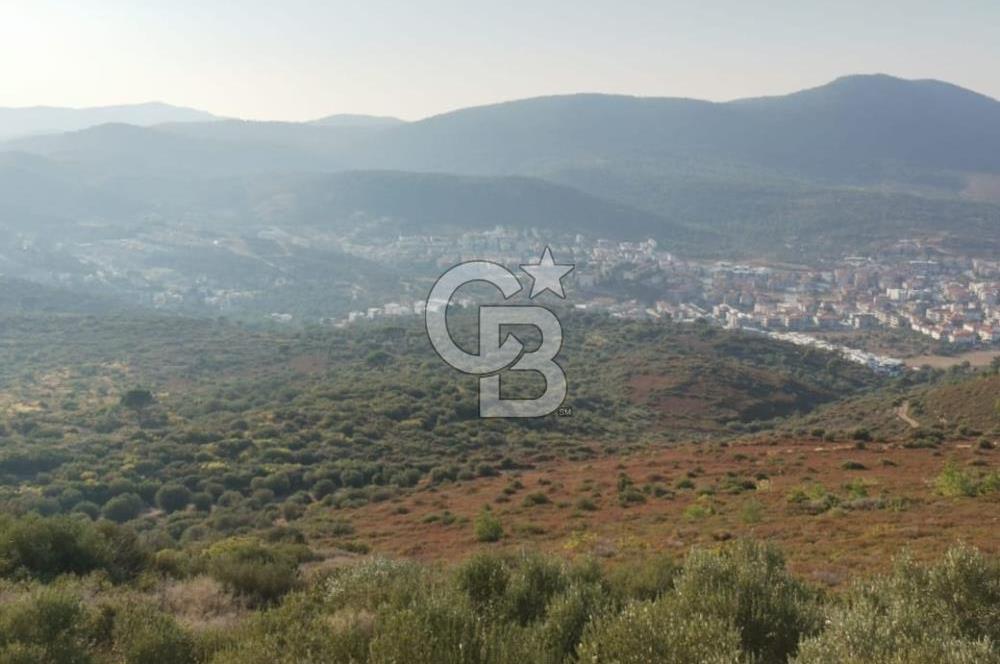 Yenifoça'da Yerleşime Yakın Konumda SatılıkTarla