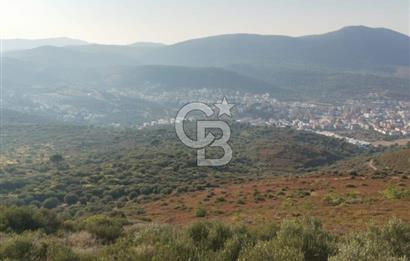 Yenifoça'da Yerleşime Yakın Konumda SatılıkTarla