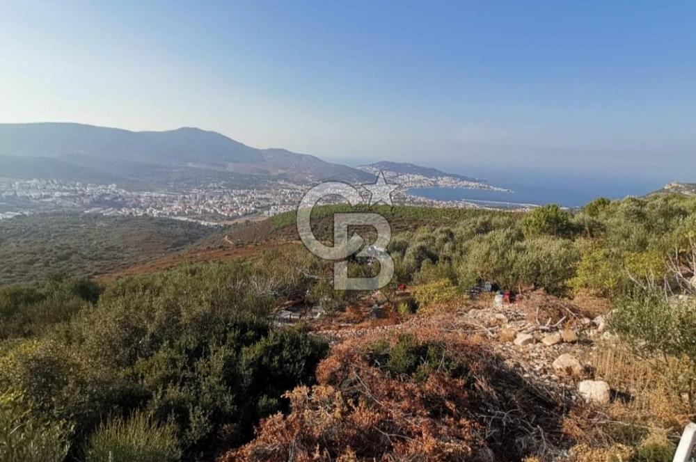 Yenifoça'da Yerleşime Yakın Konumda SatılıkTarla