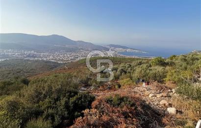 Yenifoça'da Yerleşime Yakın Konumda SatılıkTarla