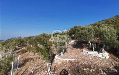 Yenifoça'da Yerleşime Yakın Konumda SatılıkTarla