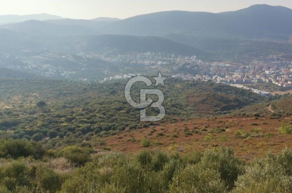 Yenifoça'da Yerleşime Yakın Konumda SatılıkTarla