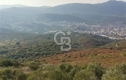 Yenifoça'da Yerleşime Yakın Konumda SatılıkTarla