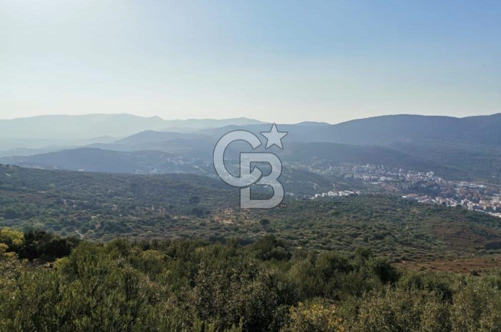 Yenifoça'da Yerleşime Yakın Konumda SatılıkTarla