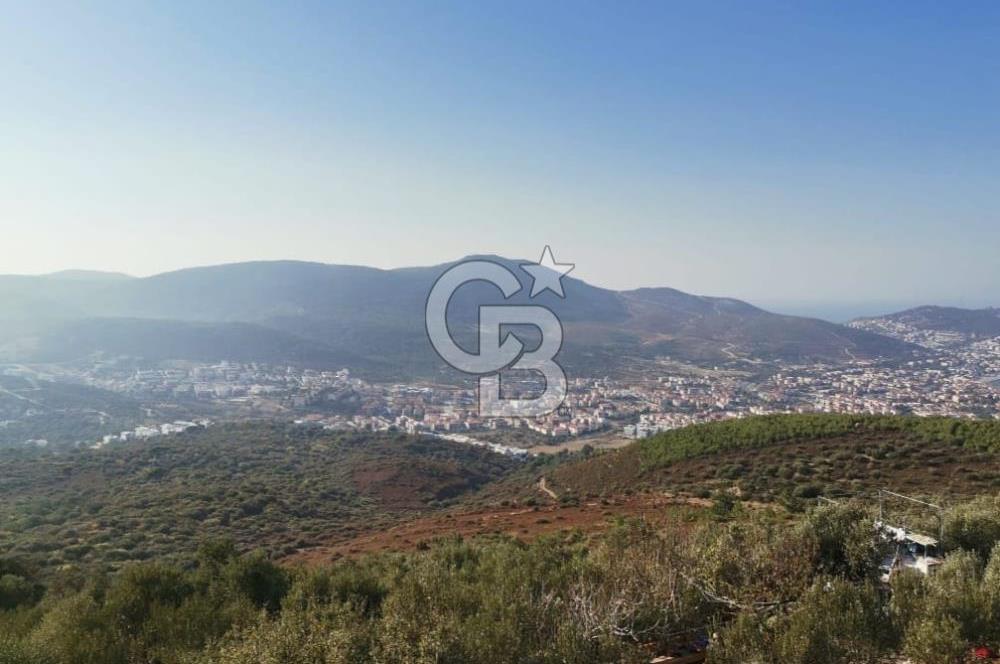 Yenifoça'da Yerleşime Yakın Konumda SatılıkTarla