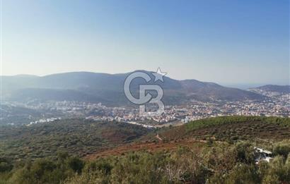 Yenifoça'da Yerleşime Yakın Konumda SatılıkTarla