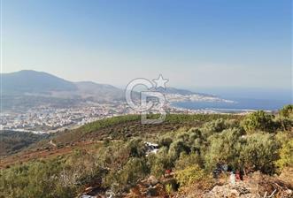 Yenifoça'da Yerleşime Yakın Konumda SatılıkTarla - 1 - 342916