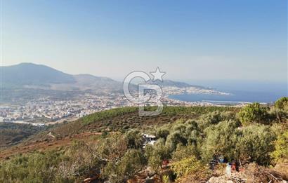 Yenifoça'da Yerleşime Yakın Konumda SatılıkTarla