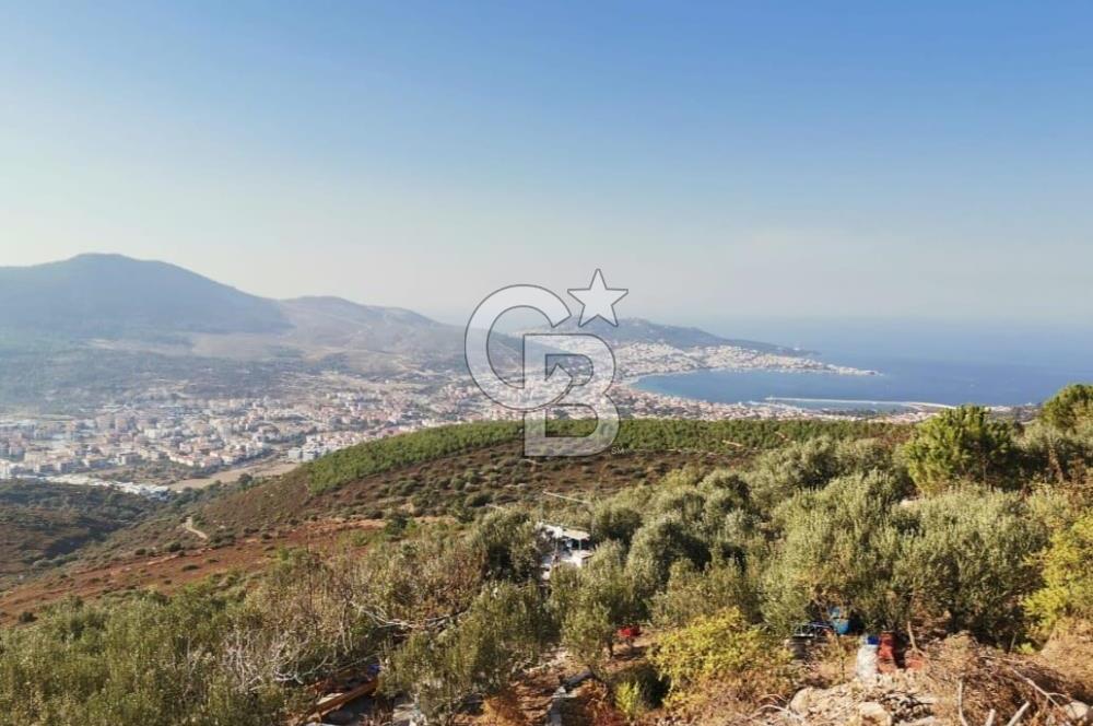 Yenifoça'da Yerleşime Yakın Konumda SatılıkTarla