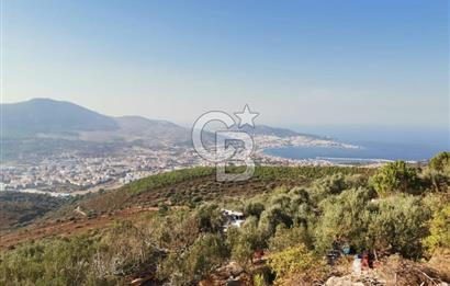 Yenifoça'da Yerleşime Yakın Konumda SatılıkTarla