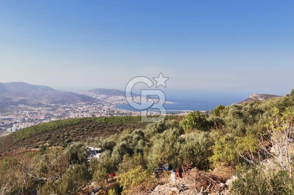 Yenifoça'da Yerleşime Yakın Konumda SatılıkTarla